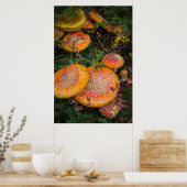 Poster Voler des champignons agariques au lac Mowich (Cuisine)