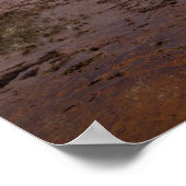 Poster Voler Geyser dans le désert de Black Rock (Coin)