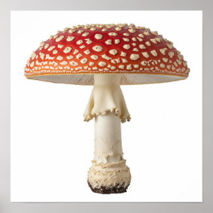 Poster Voler le champignon Agaric