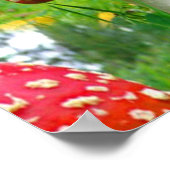 Poster Voler les champignons de l'Agaric (Coin)