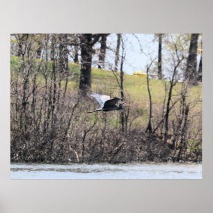 Poster Voler par