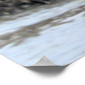 Poster Voler par (Coin)