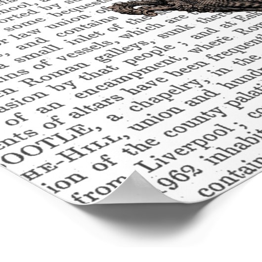 Poster Voler Zebra (Coin)