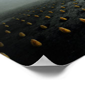 Poster voleur de tulipe 2 2013 (Coin)