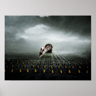 Poster voleur de tulipe 2 2013