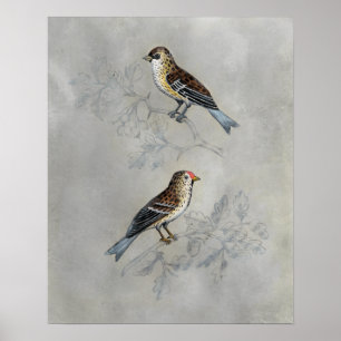 Poster Volière argentée   deux oiseaux