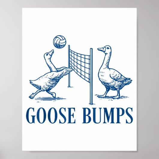 Poster Volleyball Chair de Poule (Devant)