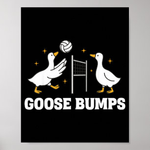 Poster Volleyball Chair de Poule