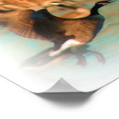 POSTER VOLS DE FANCY IMPRIMER (Coin)