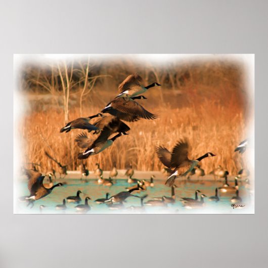 POSTER VOLS DE FANCY IMPRIMER (Devant)