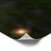 Poster Vols d'été Imprimer (Coin)