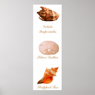 Poster Volute Imperialis, dollar en argent, Fox dépouillé