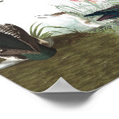 Poster voor audubon collage vogels in het wild lev (Hoek)