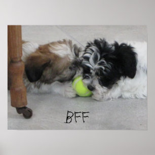 Poster voor beste vrienden van BFF