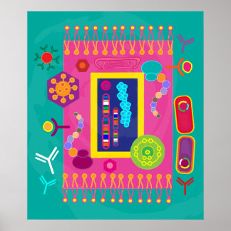 Poster voor cellulaire biologie