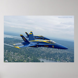 Poster voor de demonstratie van marinevluchten