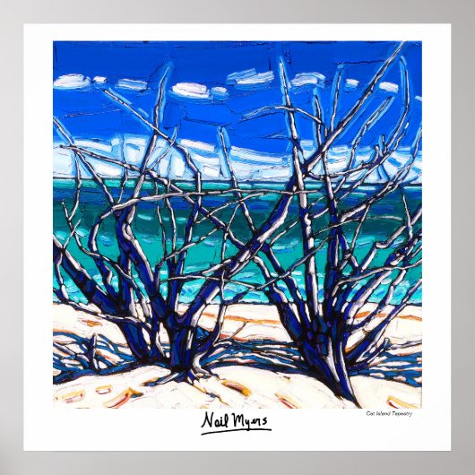 Poster voor de schildpadden van de Cat-eilanden (Voorkant)