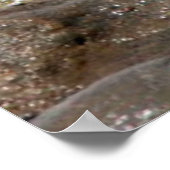 Poster voor de Tranquility Ocean (Hoek)