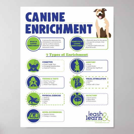 Poster voor de verrijking met Canine (Voorkant)