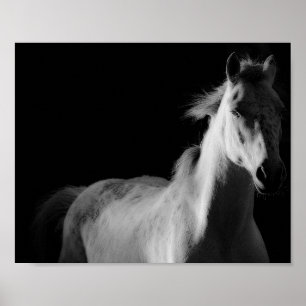 poster voor fijne kunstfotografie