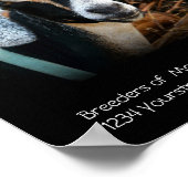 Poster voor geitenfokkerij (Hoek)