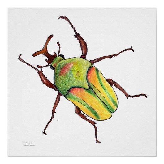 poster voor groene bug perfect poster (Voorkant)