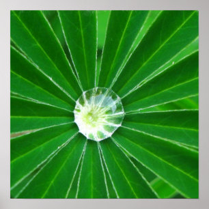 Poster voor groene energie - Afdruk