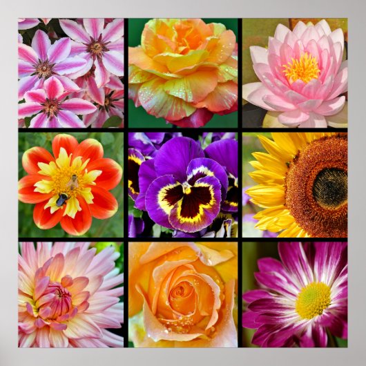 Poster voor het afdrukken van prachtige bloemen (Voorkant)