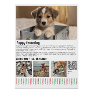 Poster voor het opvangen van puppy's perfect poster