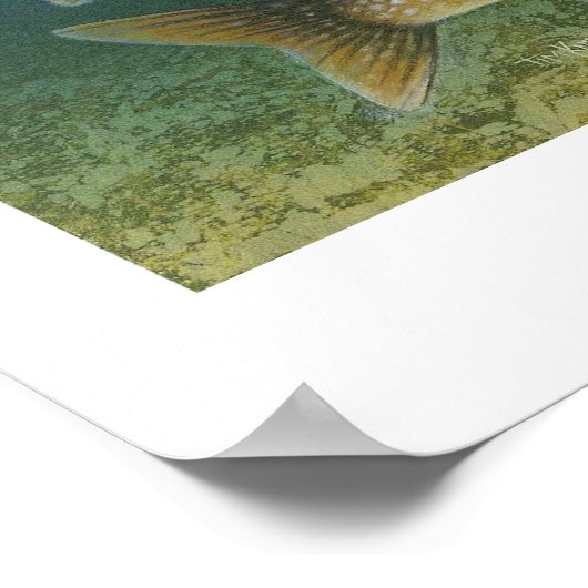 Poster voor het schilderen van het meer (Hoek)