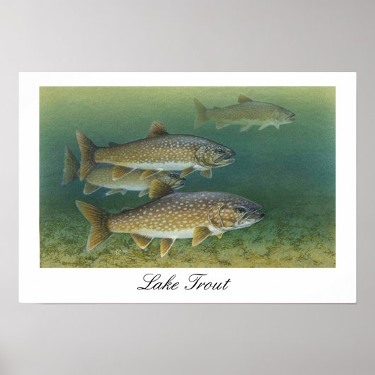 Poster voor het schilderen van het meer (Voorkant)