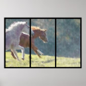 Poster voor het verkouden van paarden (Voorkant)