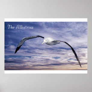 Poster voor in het wild levende dieren