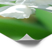 Poster voor kleine bekerkleden (Hoek)