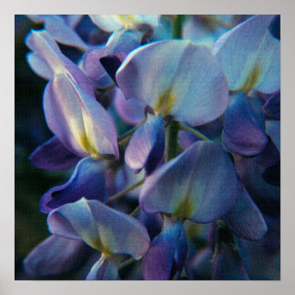 Poster voor lenteschepingen