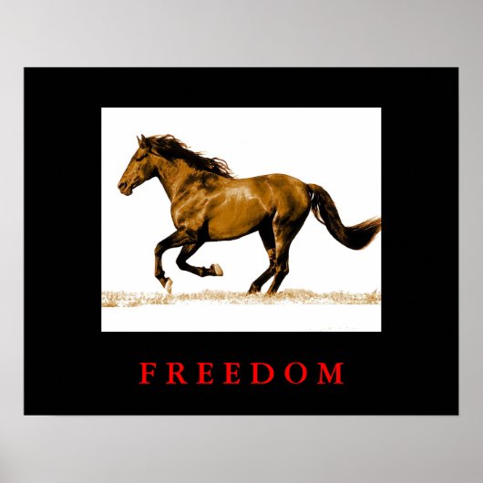 Poster voor Motivatie vrijheid bij paarden (Voorkant)
