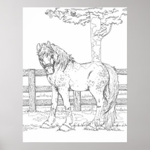 Poster voor paardenkleuren