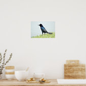 Poster voor rackle of Crow (Keuken)
