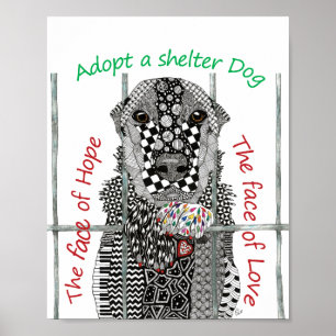Poster voor redding van dieren en adoptie van huis