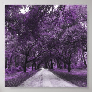 poster voor santeringweg