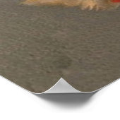 poster voor  theatermagazijn (Hoek)