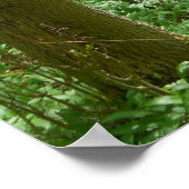 poster voor tranquilbossen (Hoek)