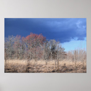 Poster voor troebel landschap