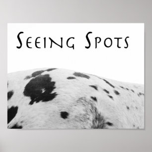 Poster voor zoekspots