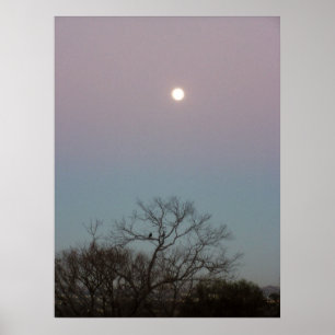 poster voor zonsopgang