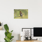 poster voor "Zuid kijken" Cedar Waxing (Thuiskantoor)