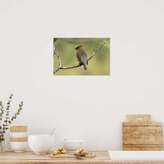 poster voor "Zuid kijken" Cedar Waxing (Keuken)