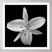 Poster voor zwart-witfotografie (Voorkant)