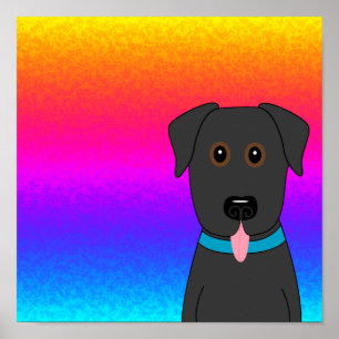 Poster voor zwarte regenboog