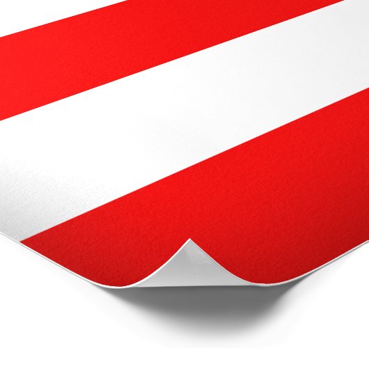 Poster Vote 2012 (Coin)